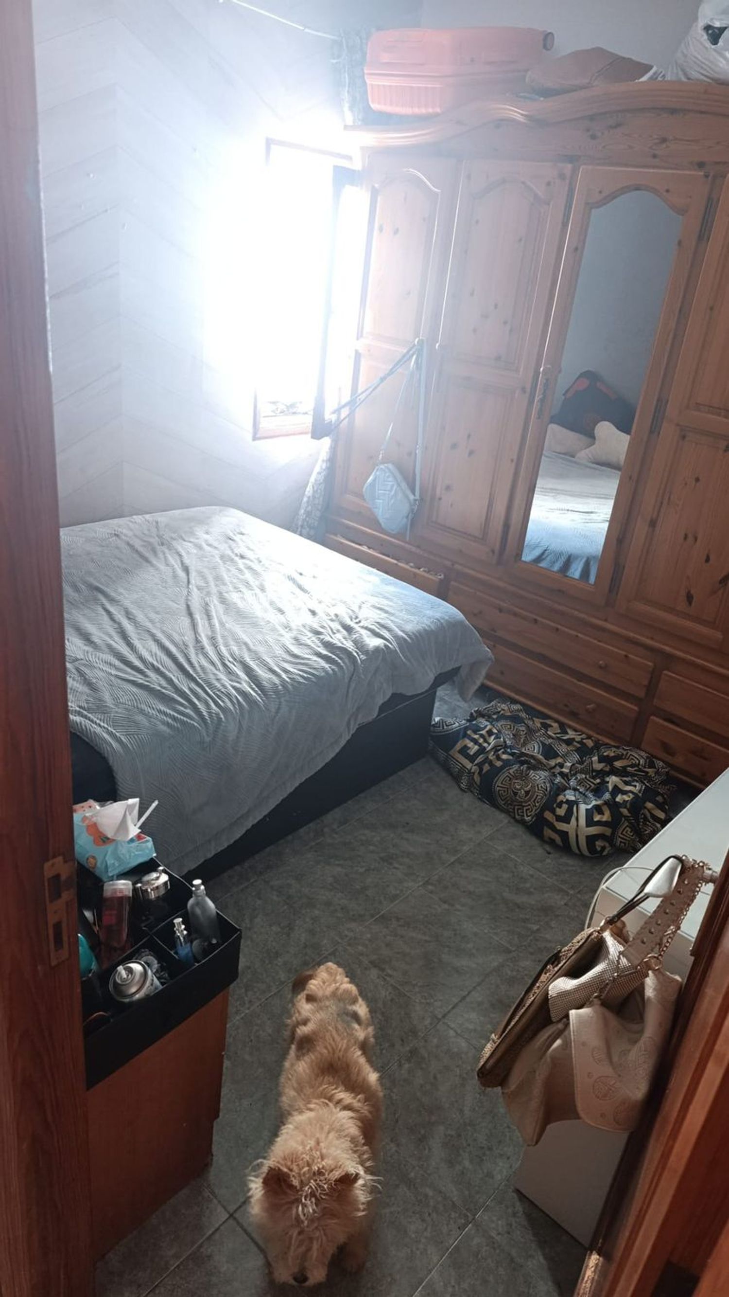Piso en Calle doña perfecta, 24, Schamann - Rehoyas - Foto 8