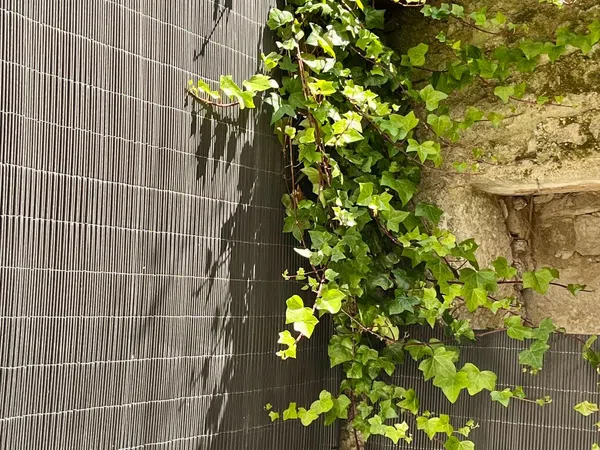 Piso en calle de Zapatería, 9 - Foto 6