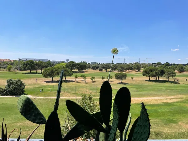 Piso en Calle Isaac Albéniz, 87, Golf - El Carralero - Foto 1