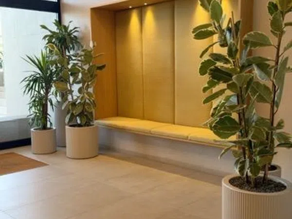 Piso en Site palmas, 14, Almatriche - Foto 14