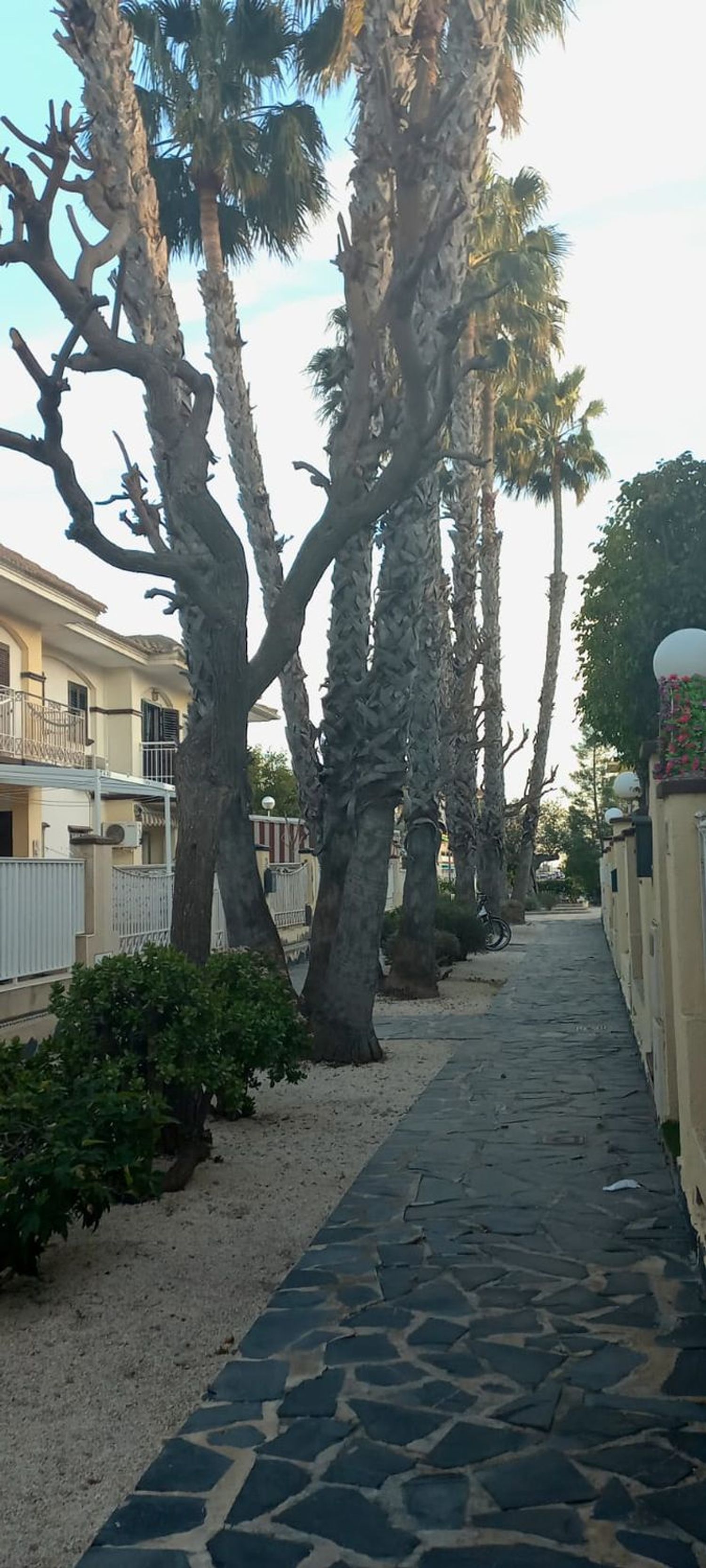 Chalet adosado en avenida Salamanca, 25 - Foto 16