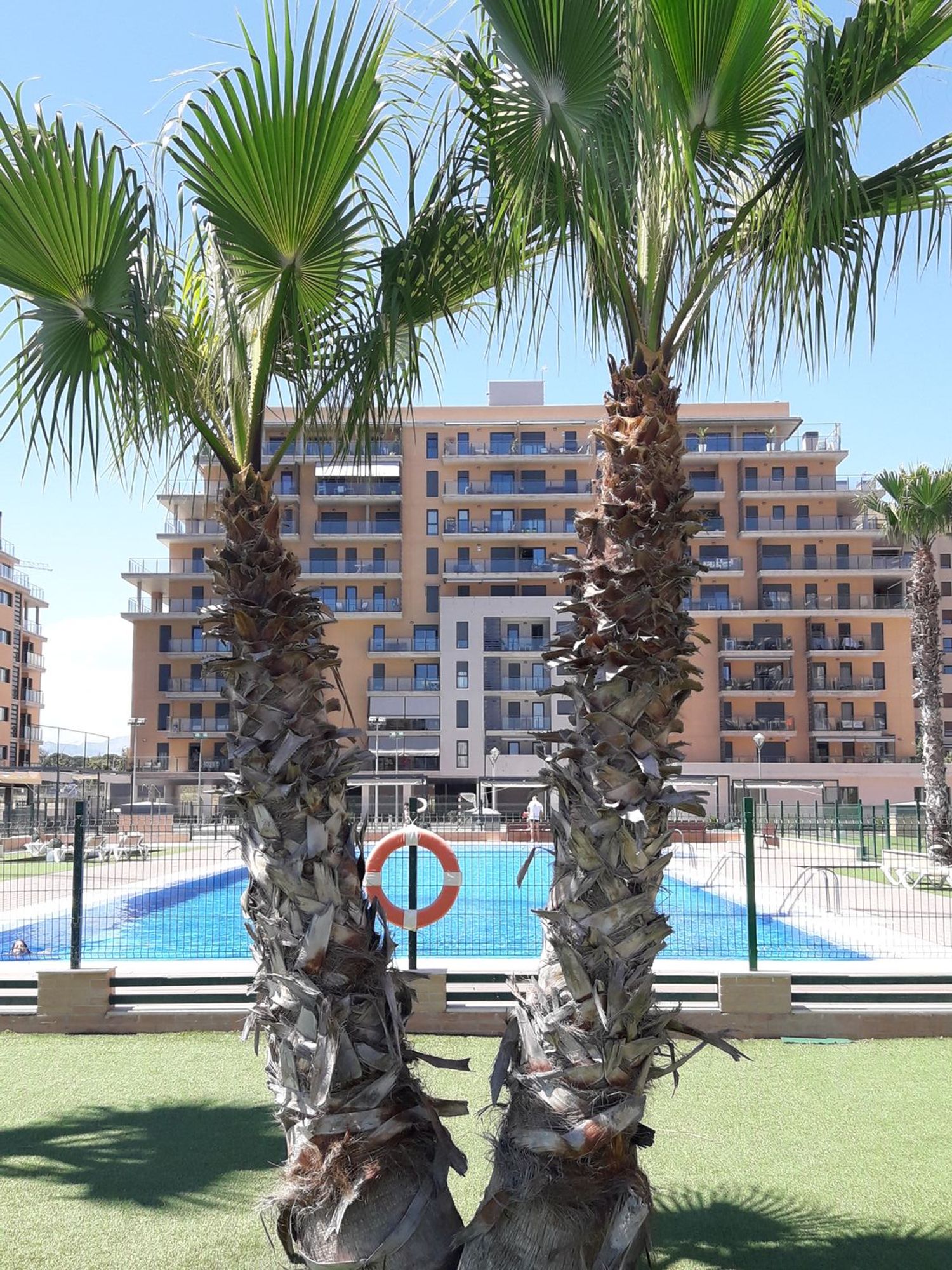 Estudio en Maestro José Garberí Serrano, 11 - Foto 5