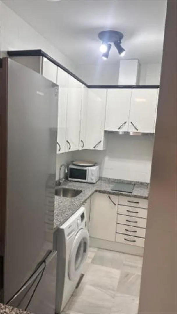 Apartamento en Plaza del Caballo - Foto 8