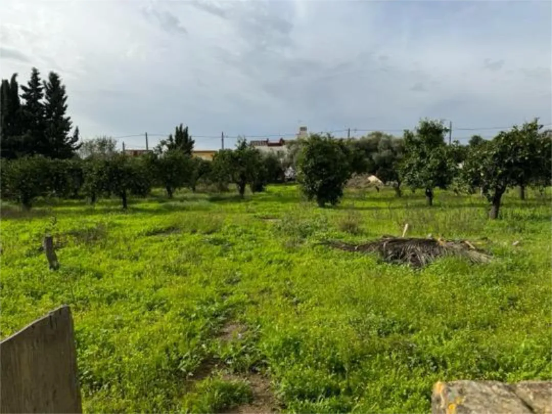Casa adosada en Zona Norte - Foto 4