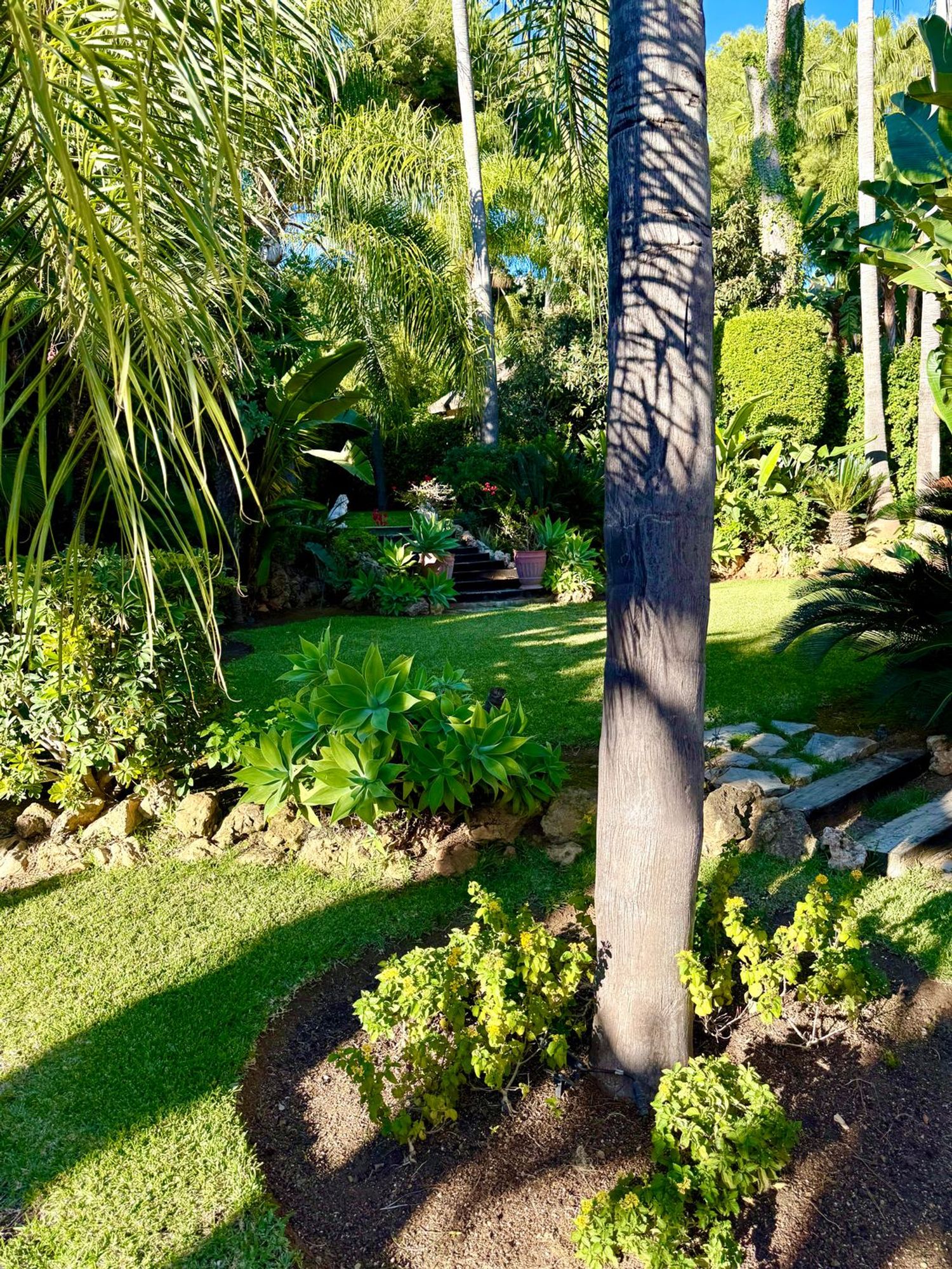 Casa independiente en Urbanizacion Altos Reales, 10 A3 - Foto 3