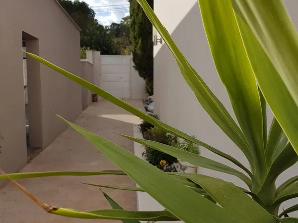 Casa o chalet independiente en Altos de Jarama, Altos de Jarama - Foto 12