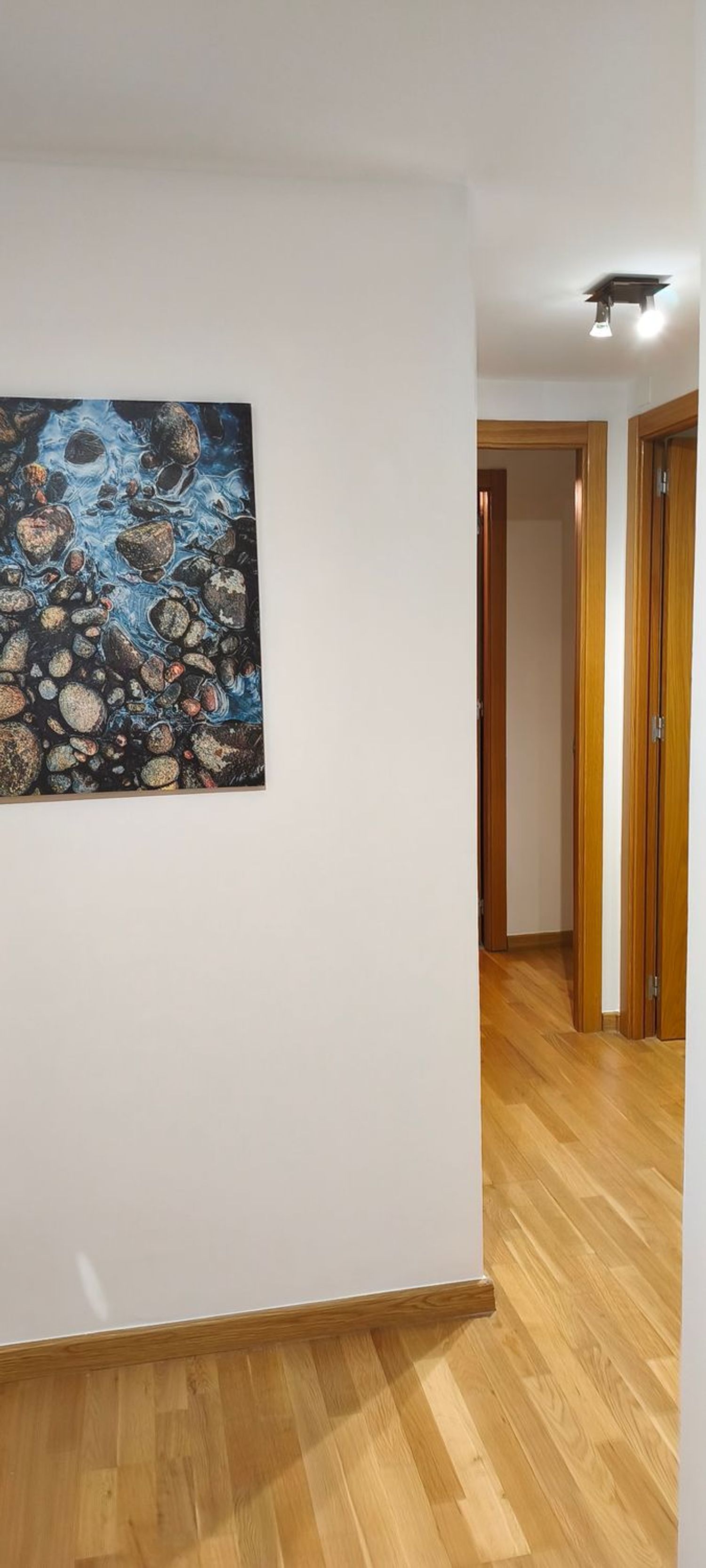 Piso en pintor Sorolla, 8 - Foto 2