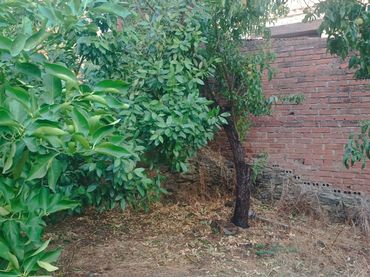 Planta baja en  Calle Peligro 15 - Foto 6