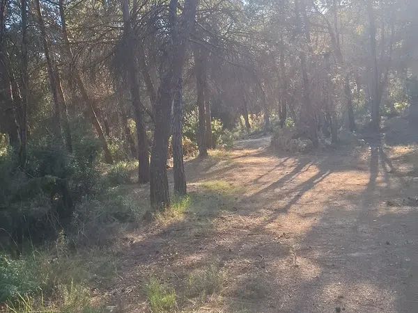 Finca rústica en Via Sense Nom s/n - Foto 6