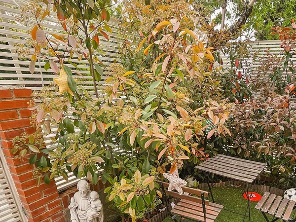 Chalet adosado en venta en Ciudalcampo - Foto 36