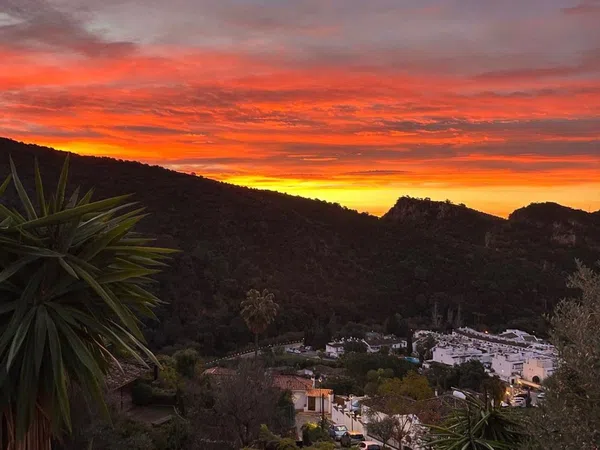 Casa independiente en calle Lirios, 9 - Foto 3