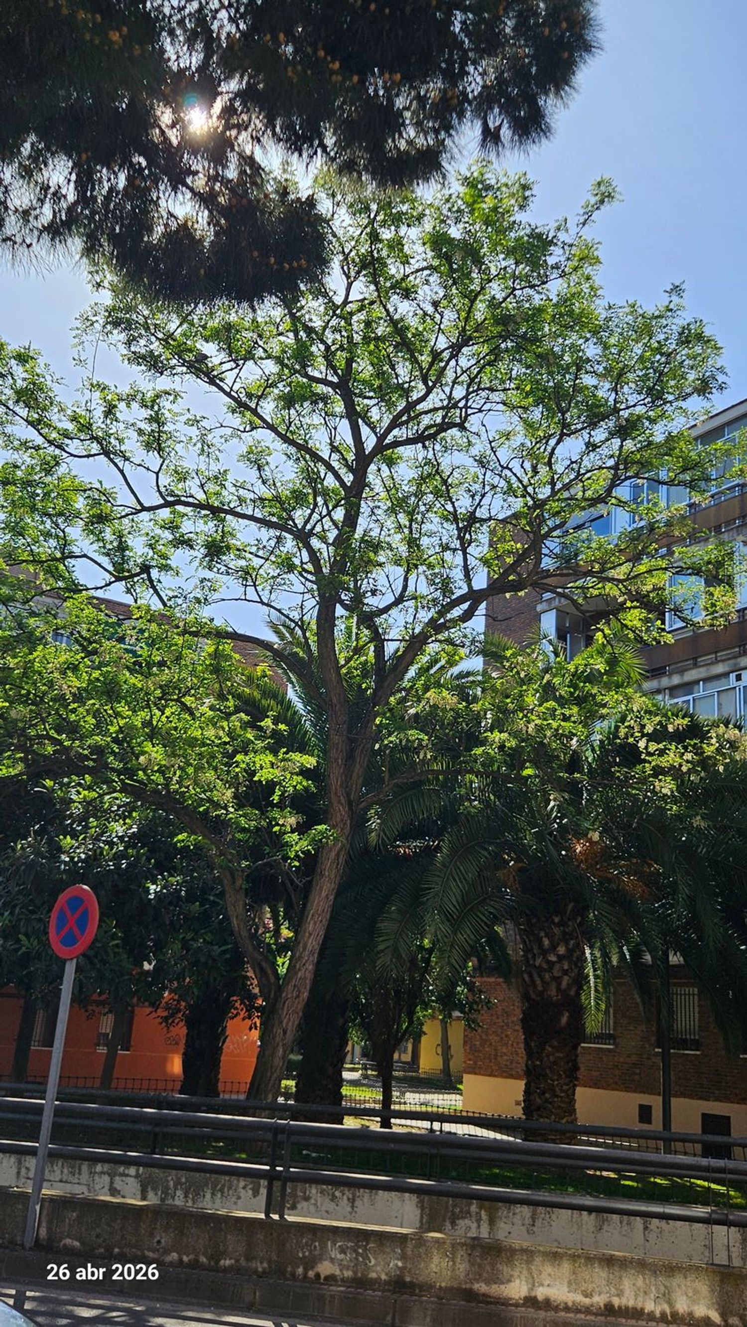 Piso en San Nicasio, San Nicasio - Foto 20