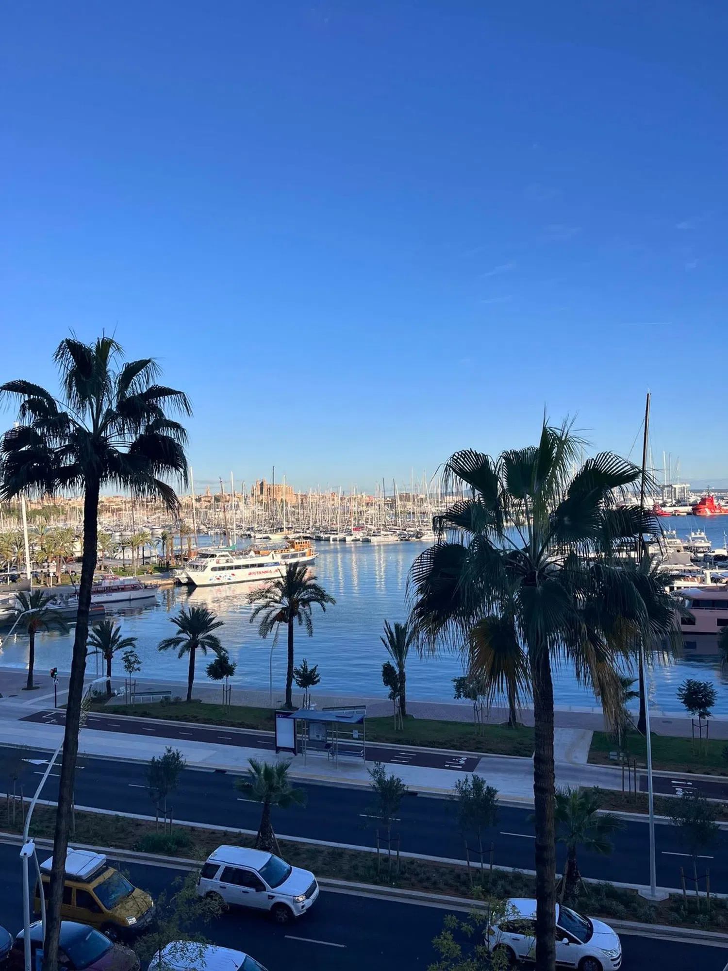 Piso en avenida de Gabriel Roca, 26 - Foto 3