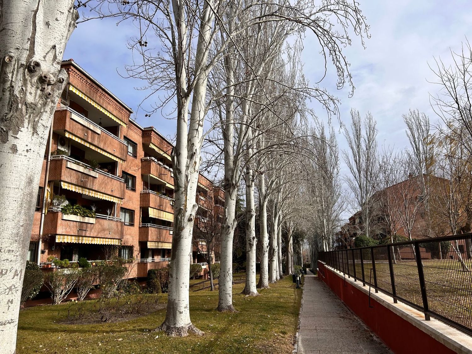 Piso en Calle Solano, Prado de Somosaguas - Foto 56