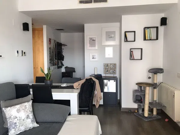 Piso en Plaza de la Concordia, Zona Parc Central - Hort de Trenor, Zona Parc Central - Hort de Trenor - Foto 4