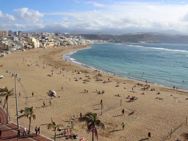 Estudio en calle Alfredo L Jones, 20