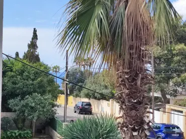 Planta baja en  Carrer Font Obrador 29 - Foto 11