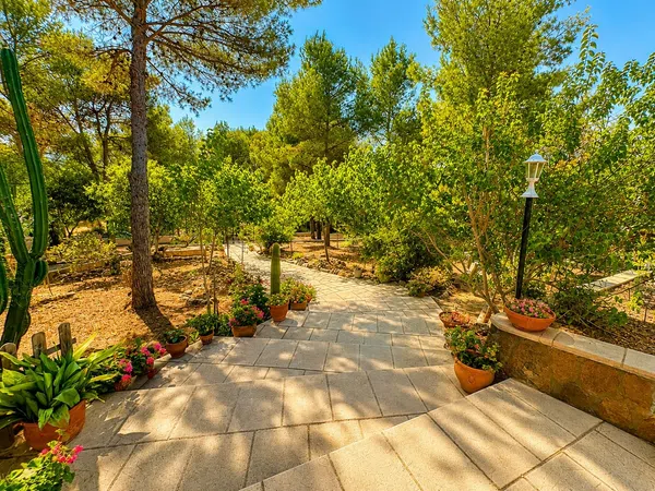 Finca rústica en Poligono 1, 513 parcela - Foto 38