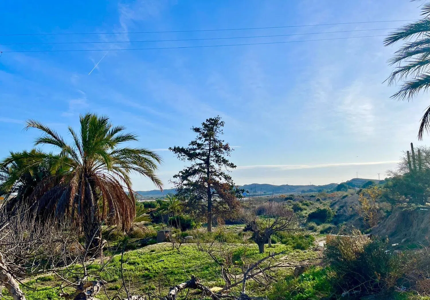 Finca rústica en camino Viejo de Saladas, 2 - Foto 10