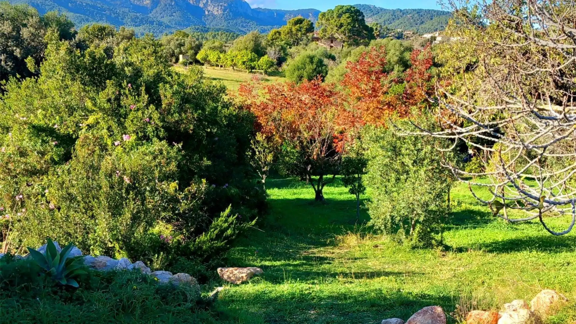 Piso en  Camí de la Vela 16 - Foto 12
