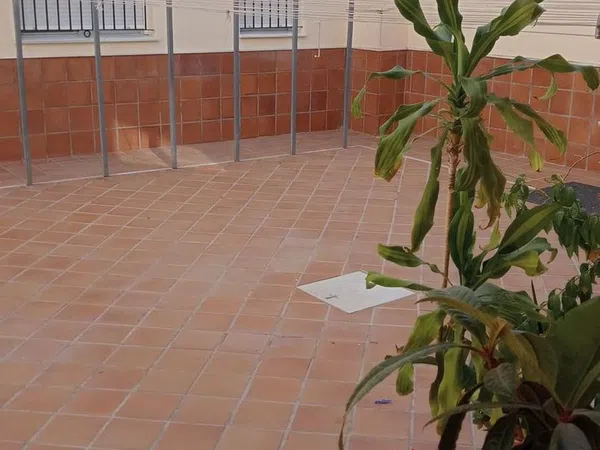 Piso en Plaza San Lorenzo del Puntal, 4, La Paz - Segunda Aguada - Loreto, La Paz - Segunda Aguada - Loreto - Foto 10