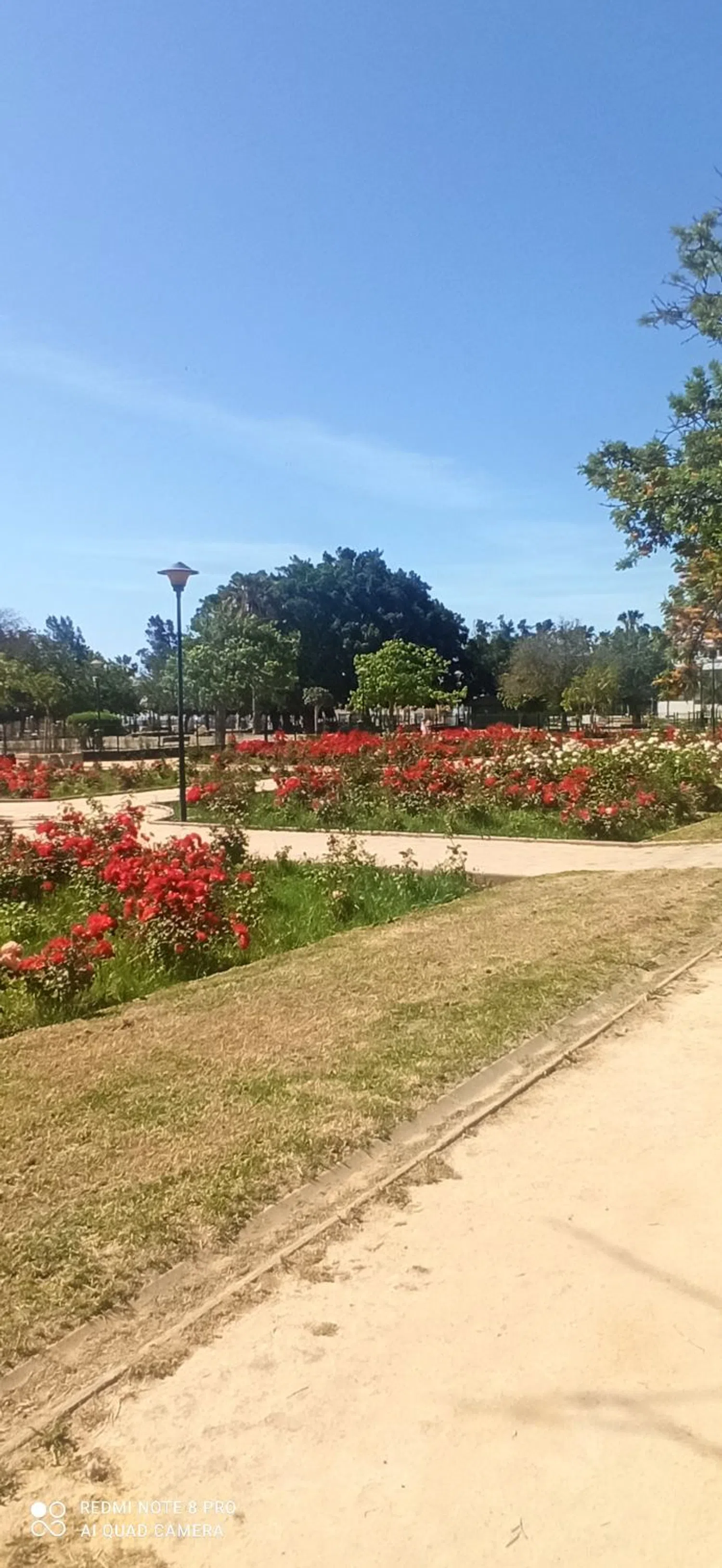 Piso en Amadeo Vives, 7 - Foto 17