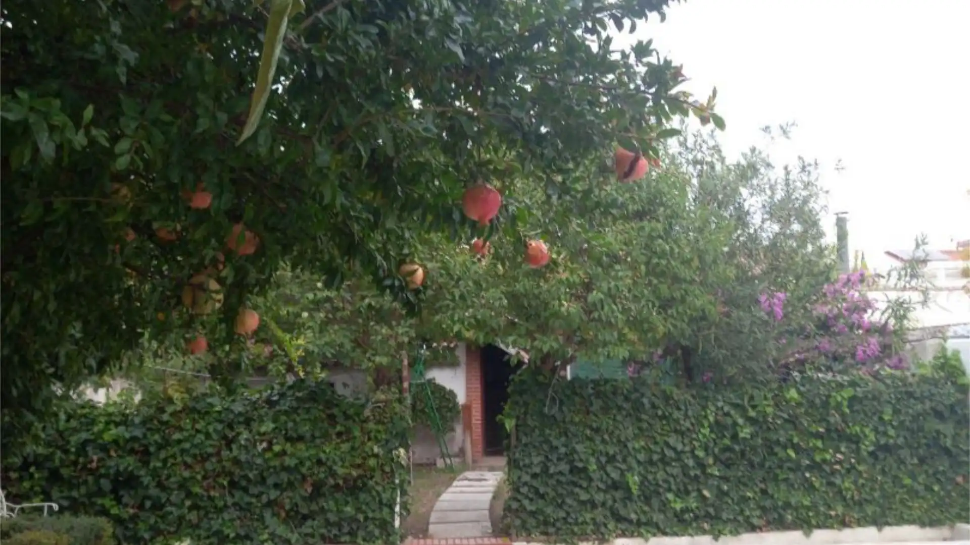 Casa adosada en  Calle Antonio Machado 35 - Foto 31