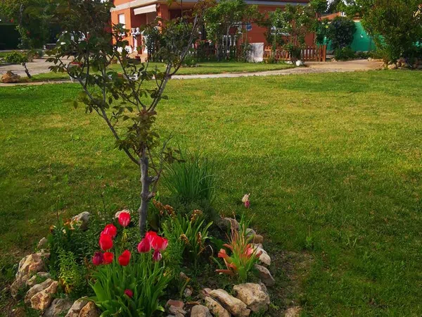 Finca rústica en Urbanización Majada 2, 40 - Foto 3