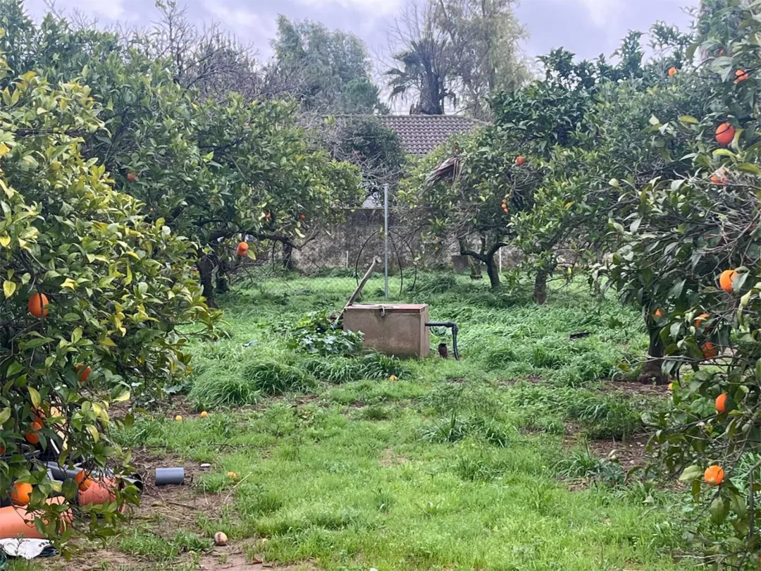 Finca rústica en  Calle Cuartel 2 - Foto 4