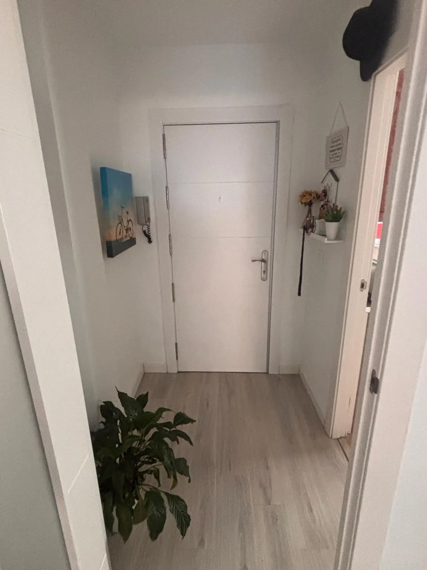 Piso en calle Poeta Manuel de Góngora, 15 - Foto 3