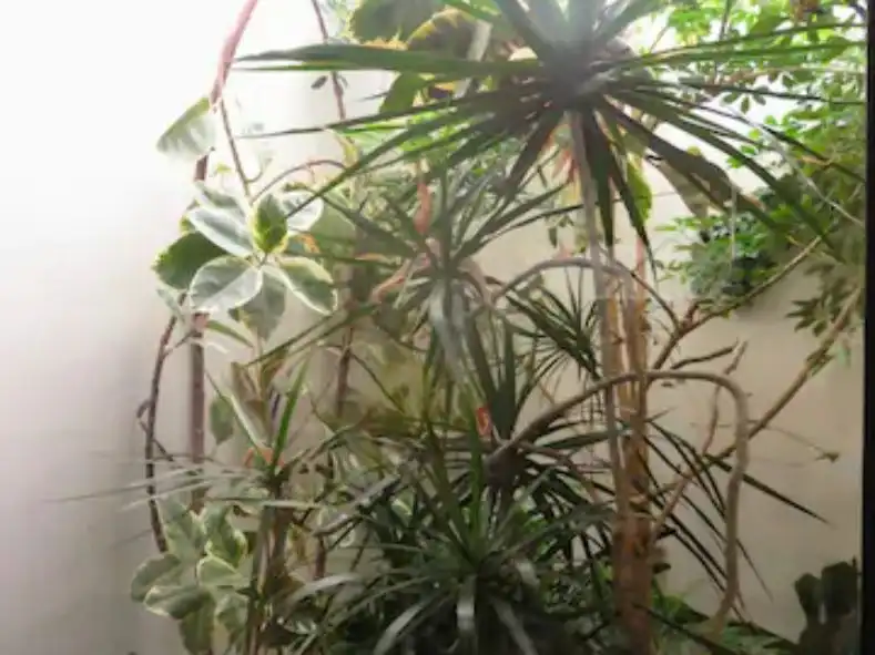 Planta baja en  Carrer Mirador de la Terra Alta 11 - Foto 12