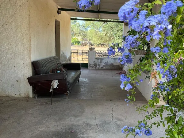 Casa o chalet independiente en Camino de Mossèn Vicent, 29 - Foto 6