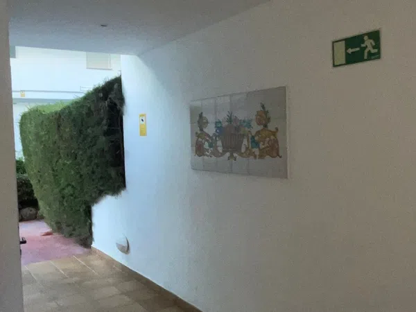 Piso en carretera de Cádiz, 178 - Foto 3