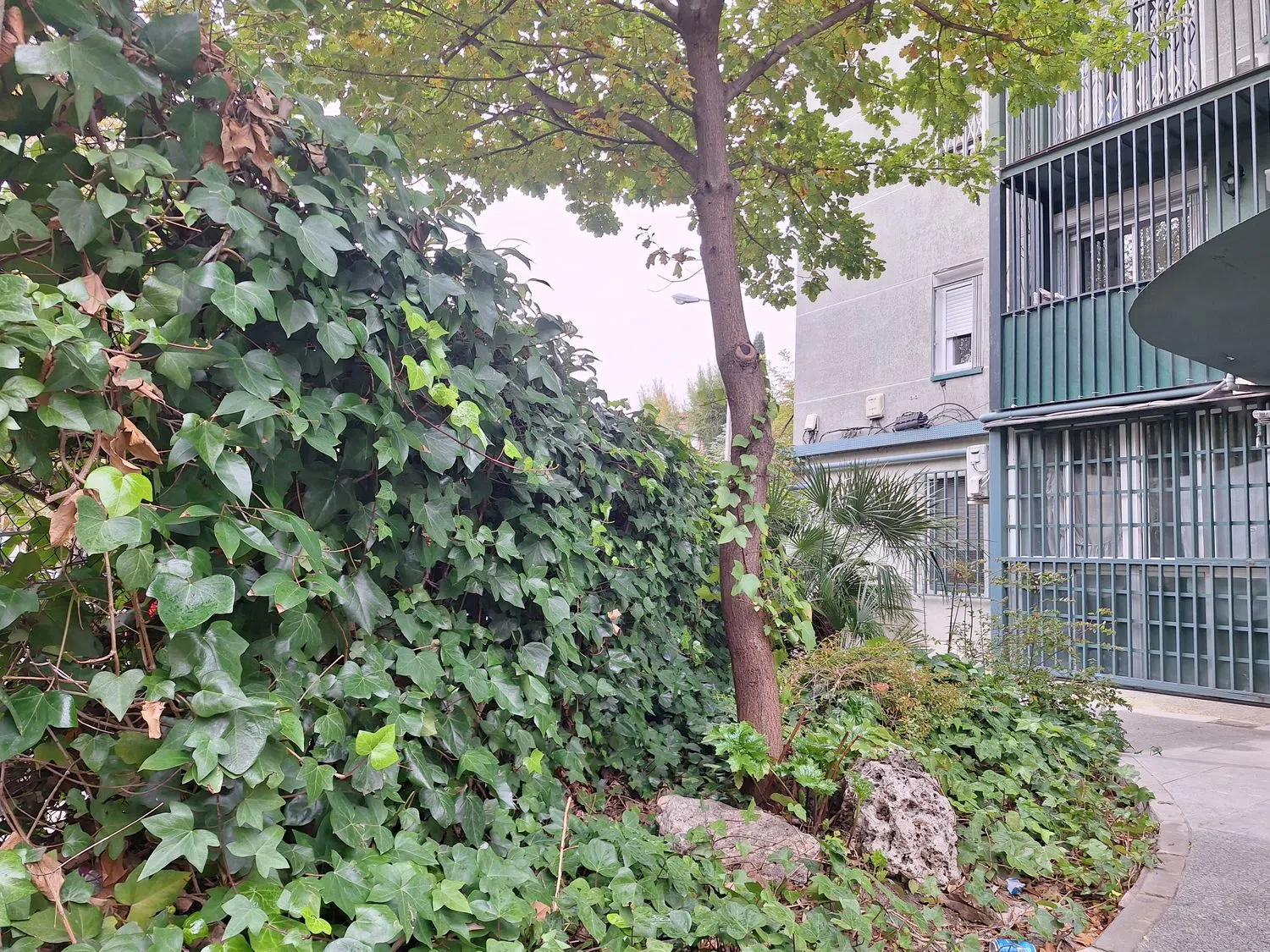 Piso en calle Ervigio, 1 - Foto 16