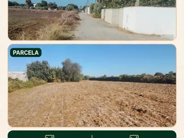 Finca rústica en  Calle del Almendral 63 - Foto 3