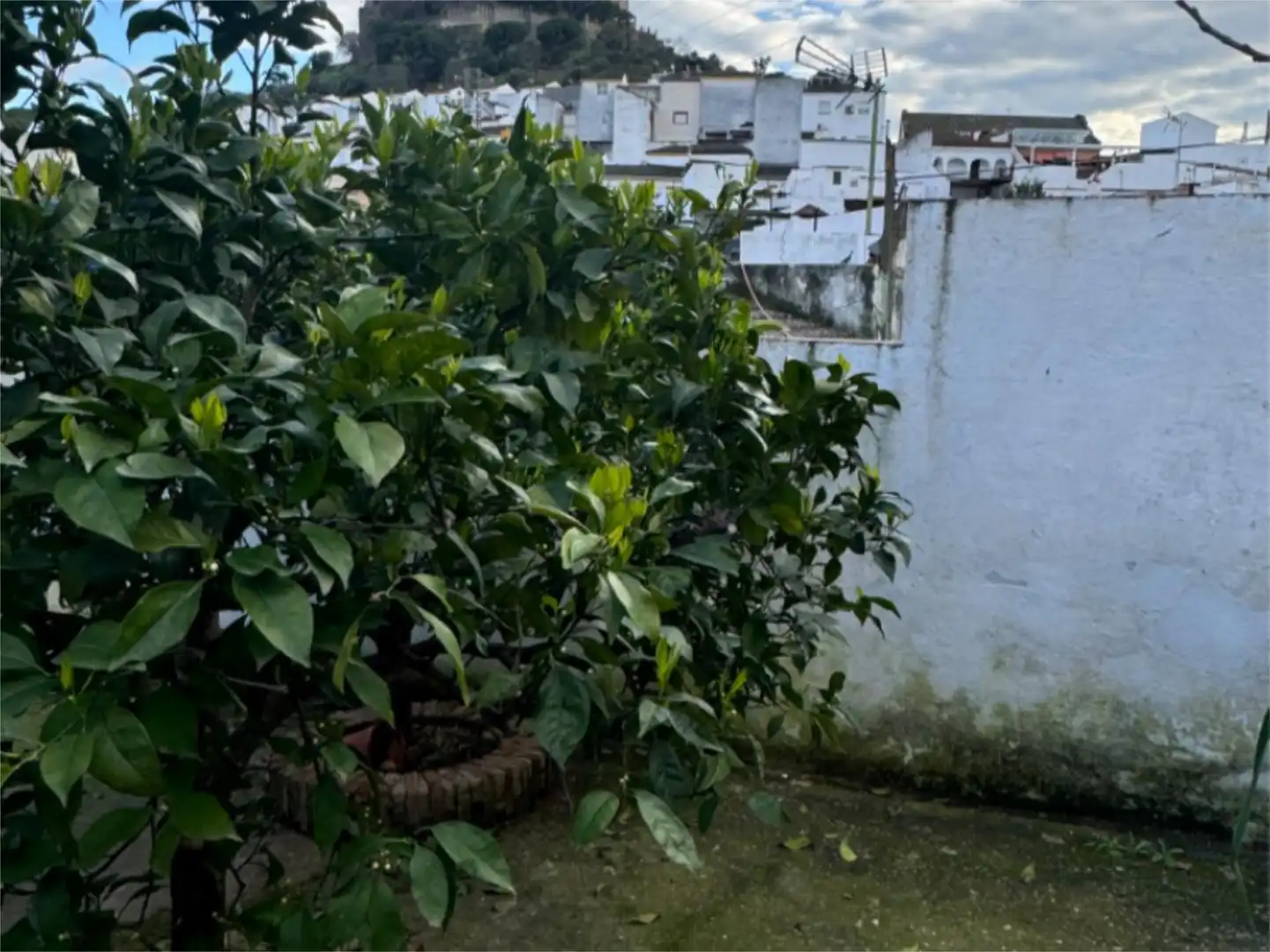 Casa adosada en  Calle San Andrés 9 - Foto 13