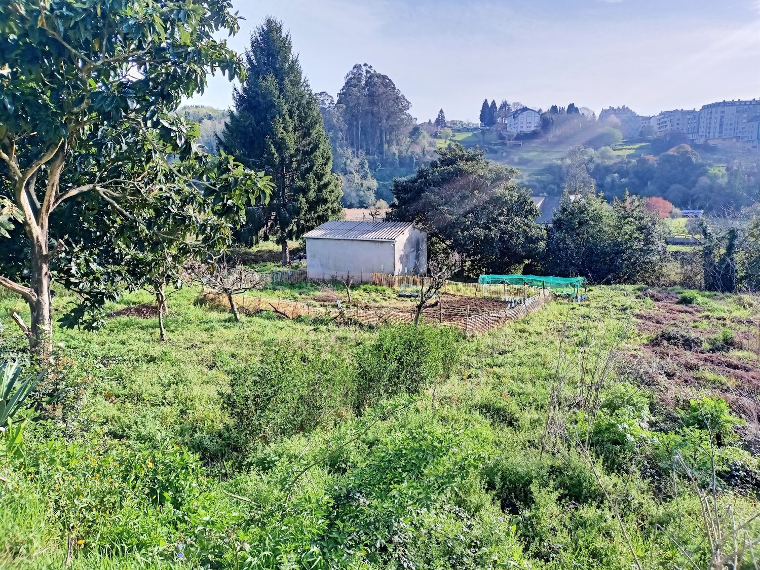 Finca rústica en Lugar Veiga, 5 - Foto 7