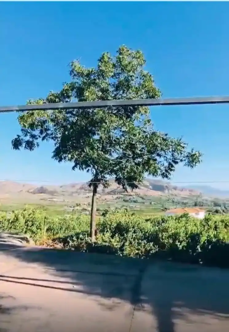 Finca rústica en  Poligono 15 5 - Foto 2