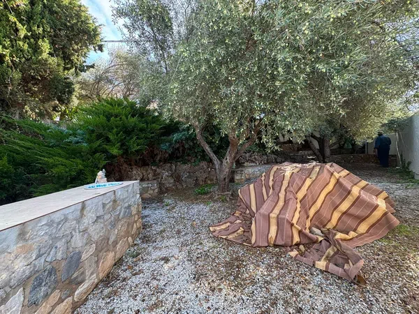 Cortijo en Cortijo en Calle Tejarejo, 560 - Foto 34