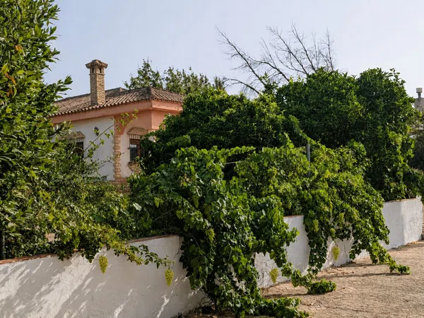 Finca rústica en Camino de Liaño, 3, Las Canteras - El Almendral, Las Canteras - El Almendral - Foto 38