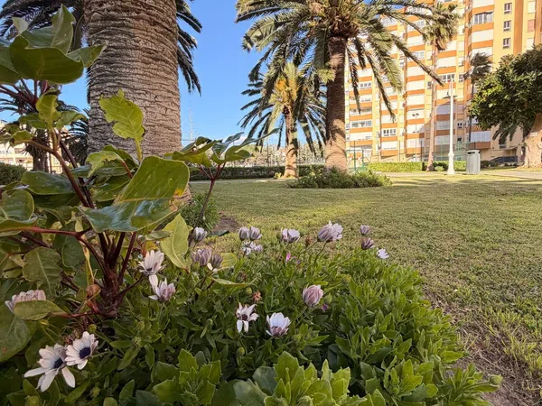Estudio en Urb. Centro Internacional, Bau Hoffmann Cordoba, 73 - Foto 19