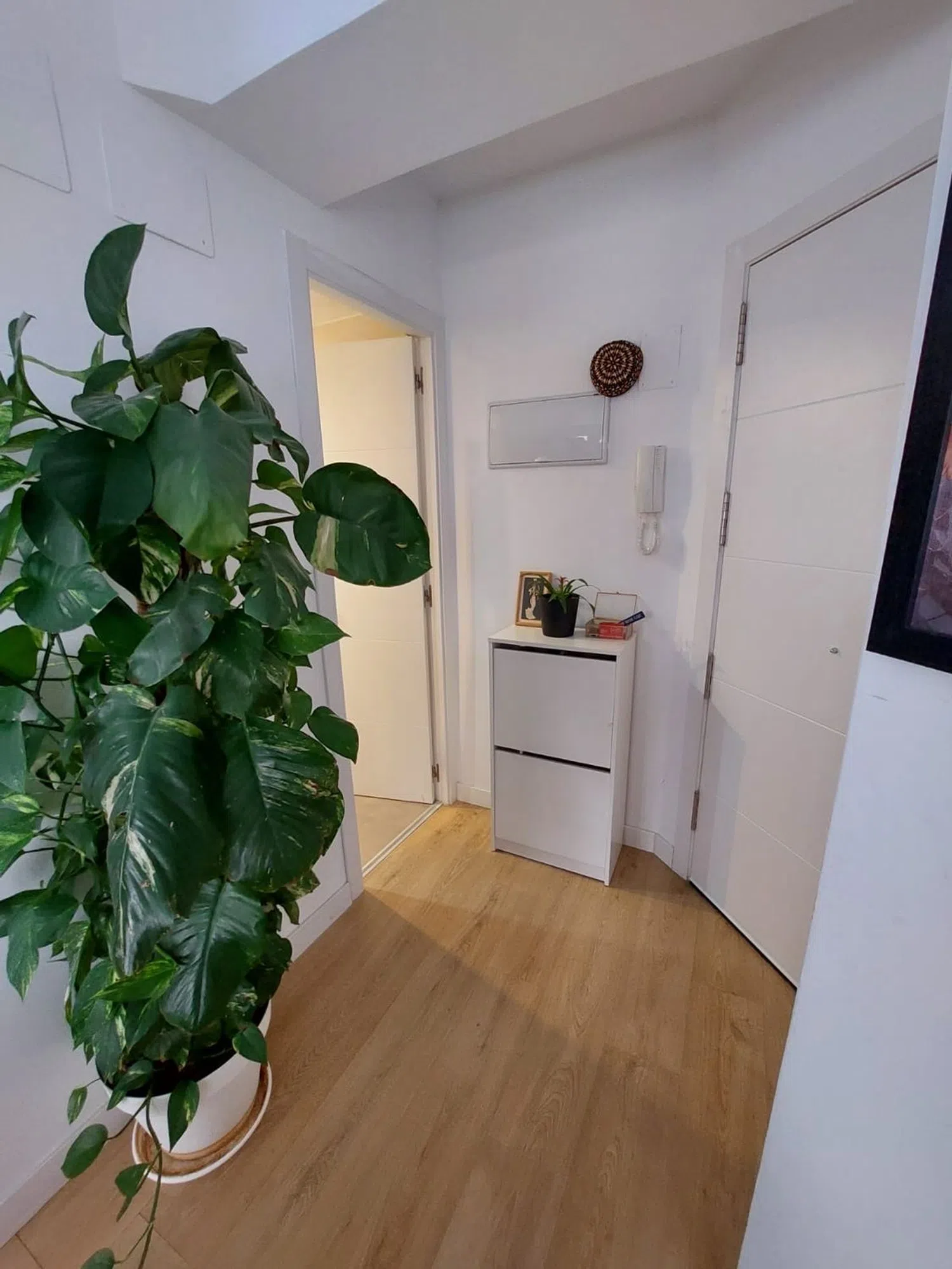Piso - Foto 13