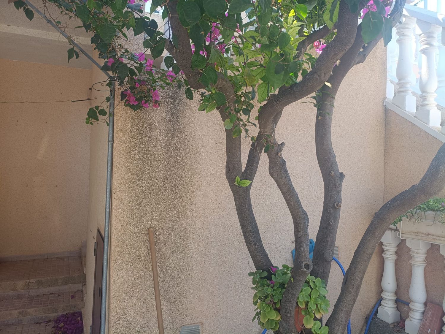 Chalet pareado en Travesía Cáceres, 19, Lo Pagán, Lo Pagán - Foto 11