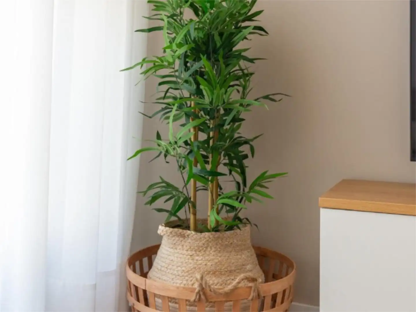 Piso en  Paseo Martiricos 30 - Foto 32