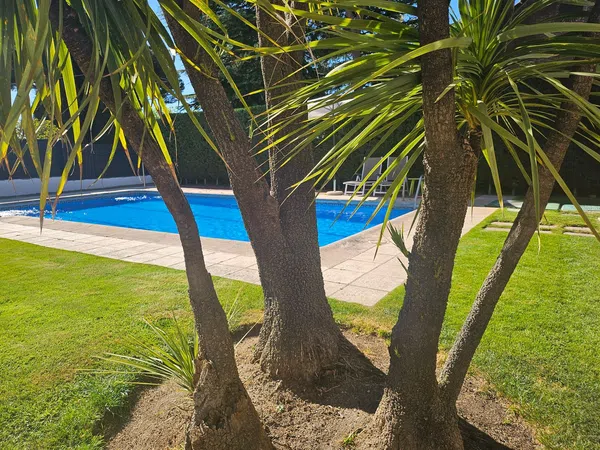 Casa independiente en El Olivar de Mirabal - Foto 4