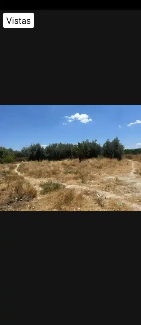 Finca rústica en  Diseminado Diseminados 258 - Foto 18