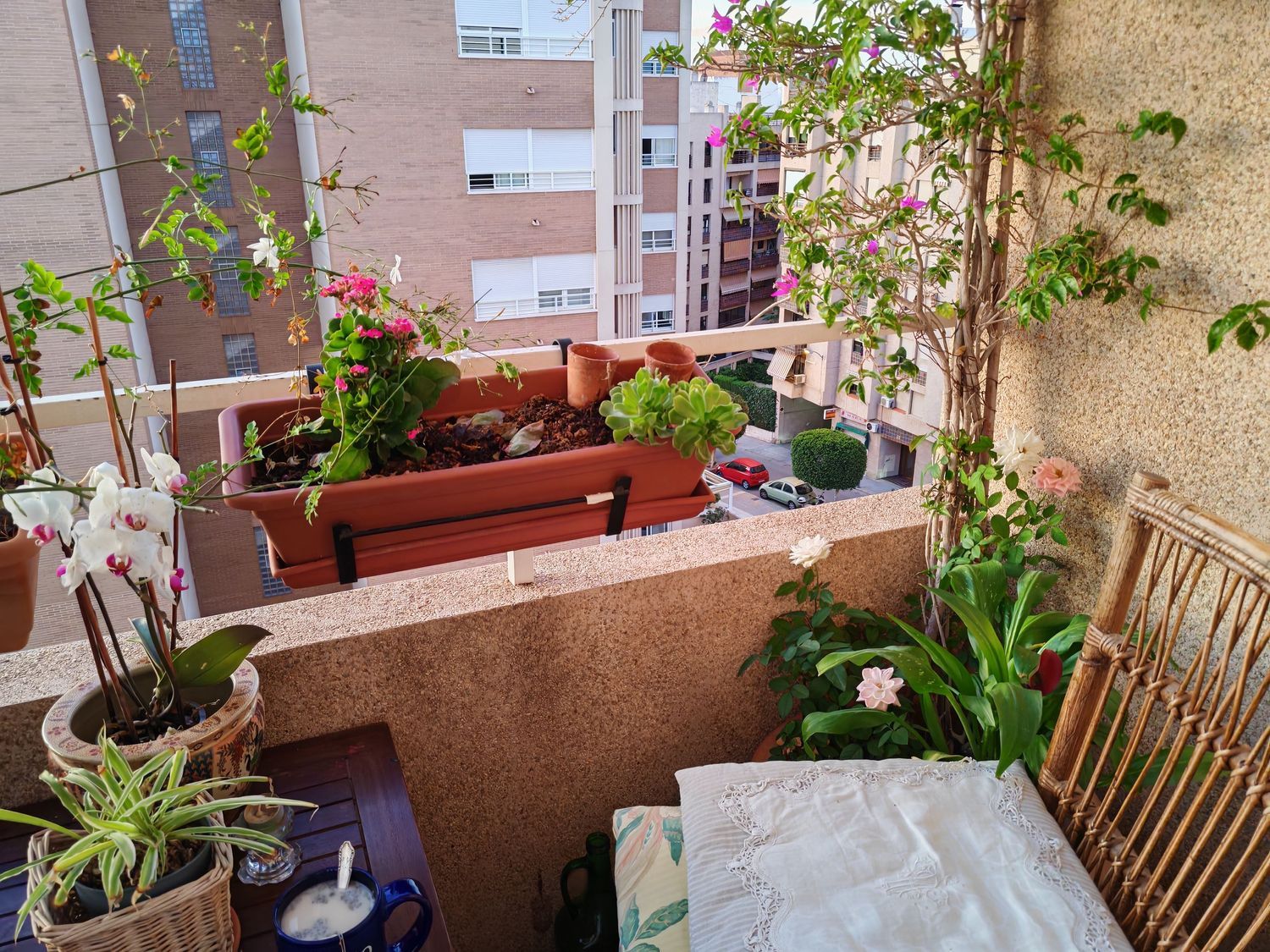 Piso en Calle del Notario Salvador Montesinos Bonet, 17, Centro, Centro - Foto 20