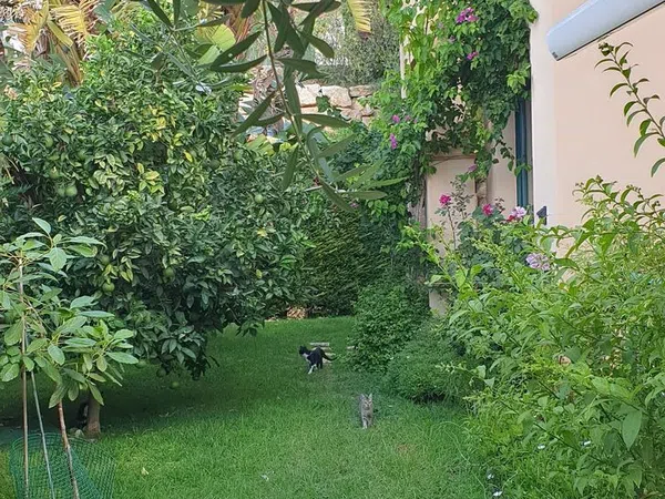 Chalet pareado en calle Oslo, 11 - Foto 8