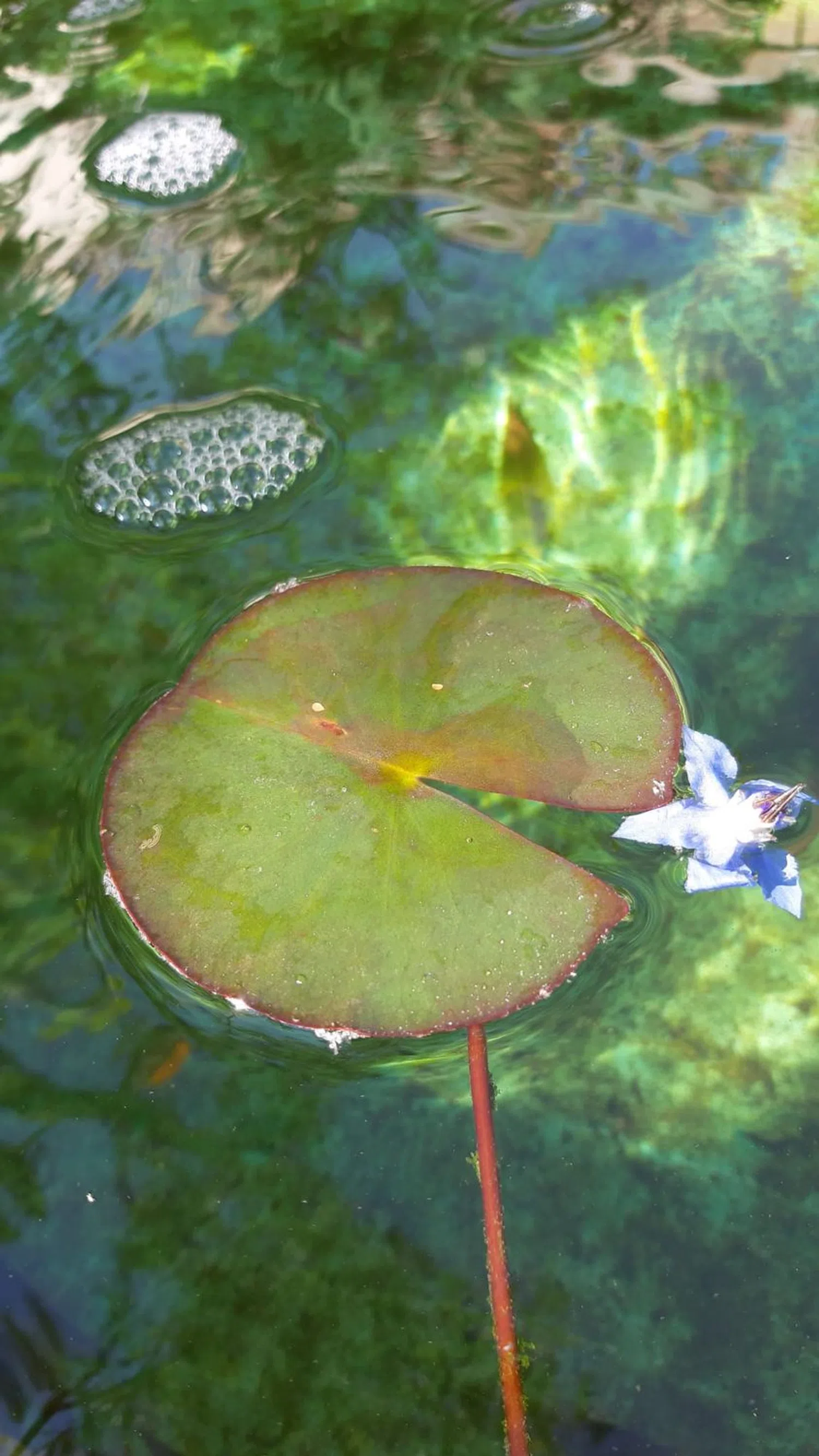 Dúplex en Passatge de Serrahima, 7 -11 - Foto 28