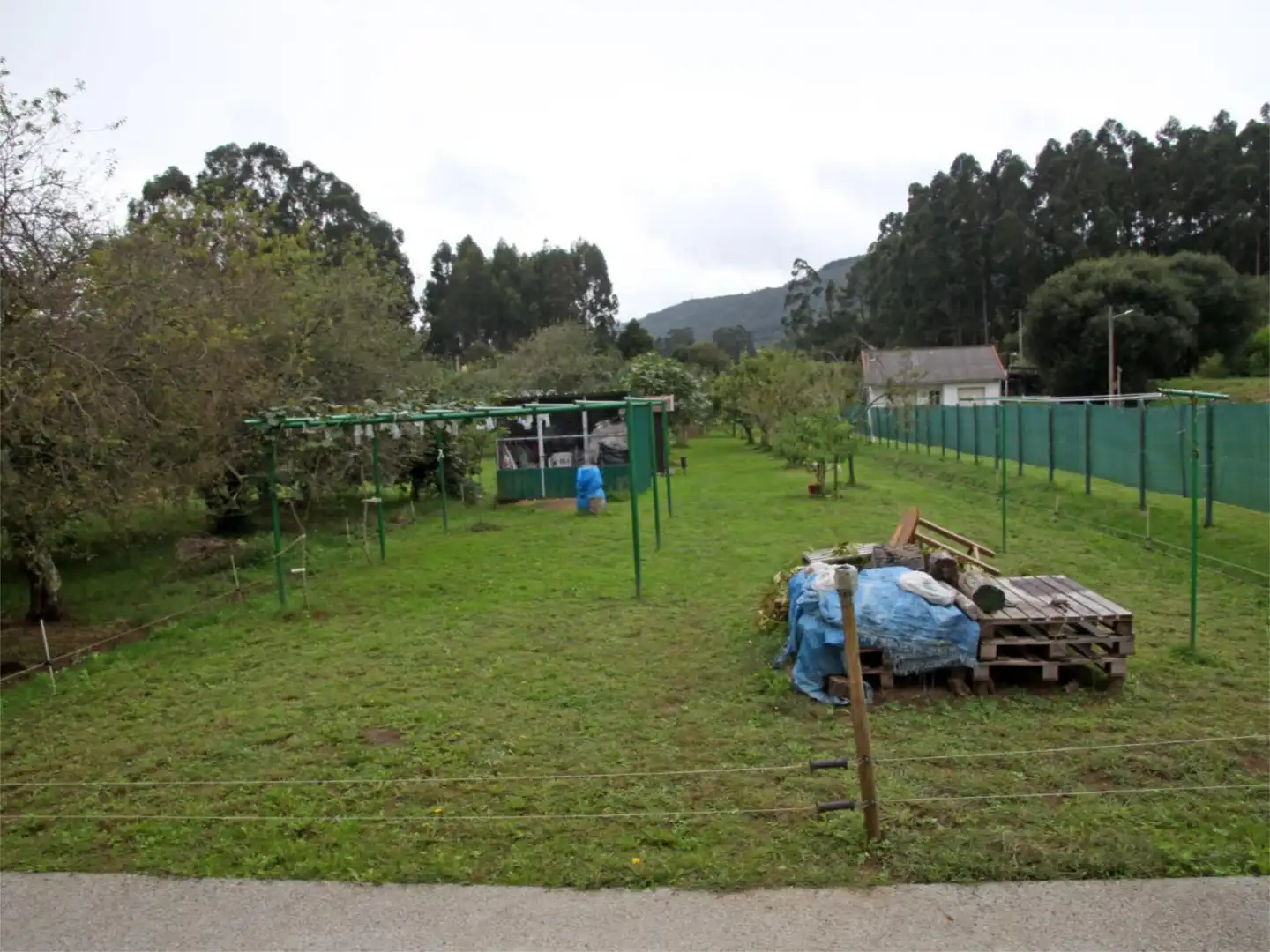 Finca rústica en  Aldea a Rega 6 - Foto 8